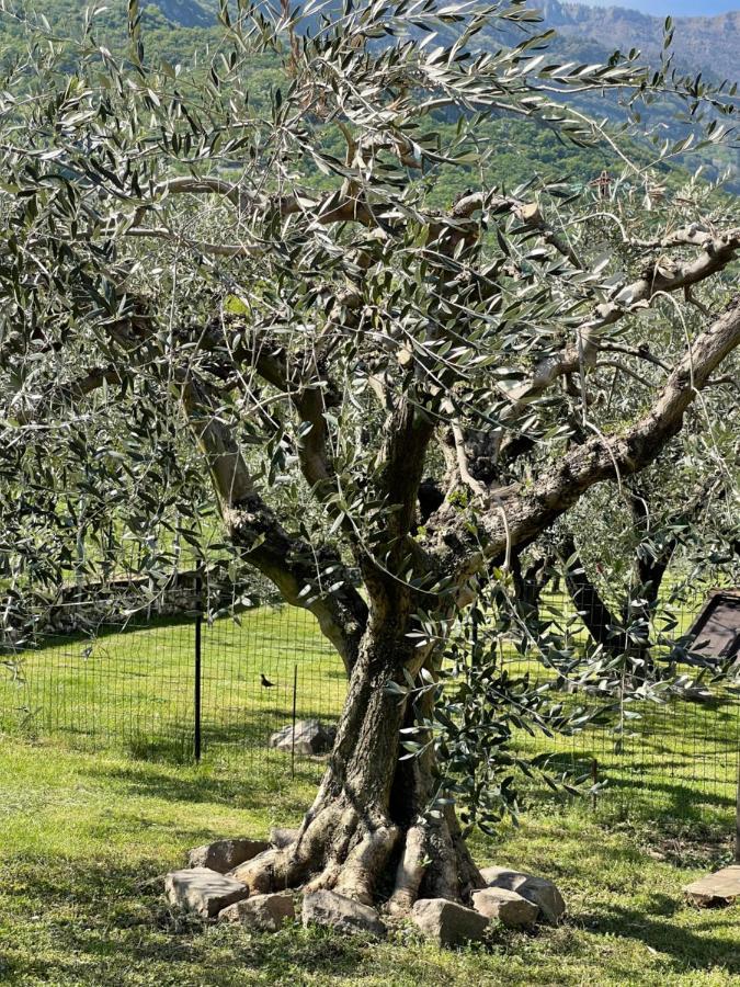 Il Zattiere Rovereto (Trentino Alto Adige) Exterior photo